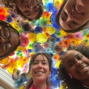 WRISE Solar Fellows 2025